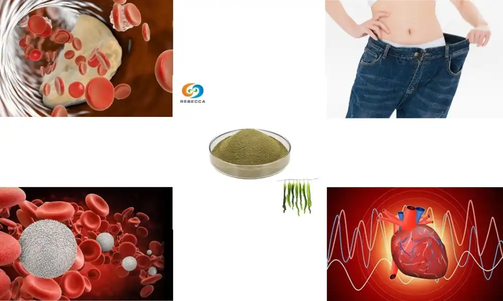 What is the difference between fucoidan and fucoxanthin?